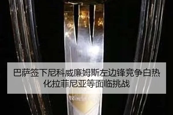 ba-sa-qian-xia-ni-ke-wei-lian-mu-si-zuo-bian-feng-jing-zheng-bai-re-hua-la-fei-ni-ya-deng-mian-lin-tiao-zhan-2-951.jpg